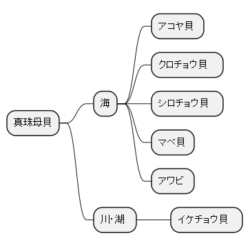 海と川が生み出す、多様な真珠母貝